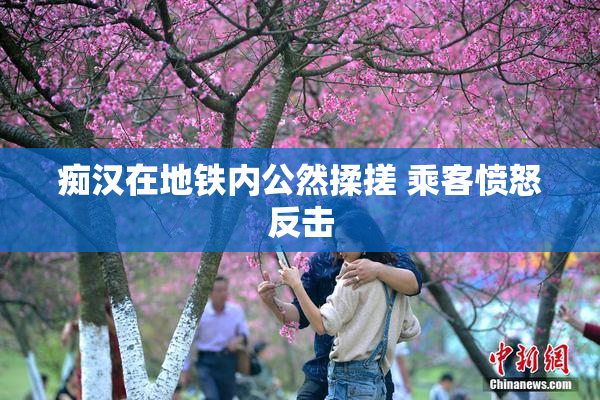 痴汉在地铁内公然揉搓 乘客愤怒反击
