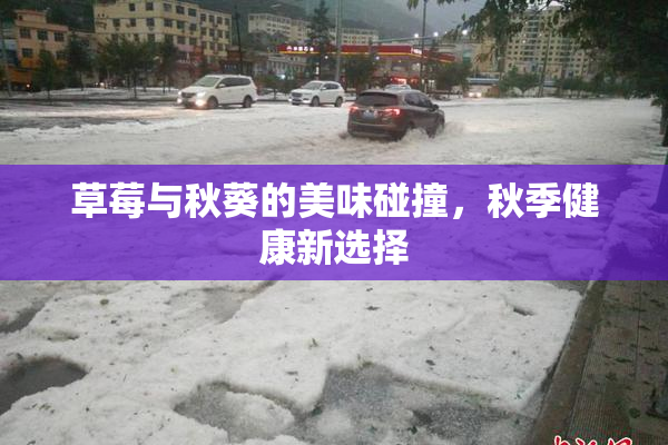 草莓与秋葵的美味碰撞，秋季健康新选择