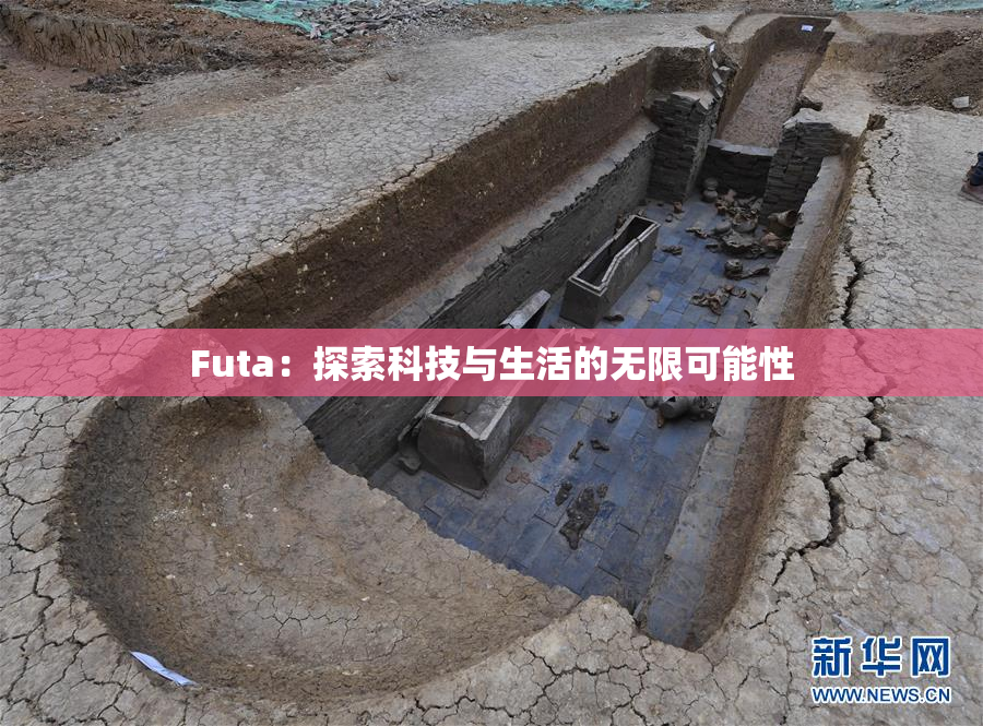 Futa：探索科技与生活的无限可能性