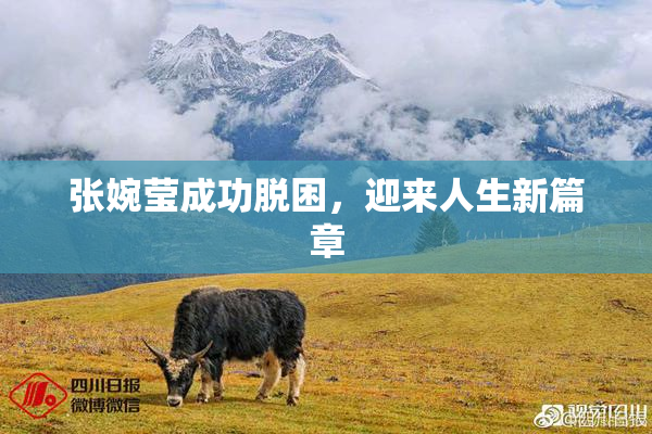 张婉莹成功脱困，迎来人生新篇章