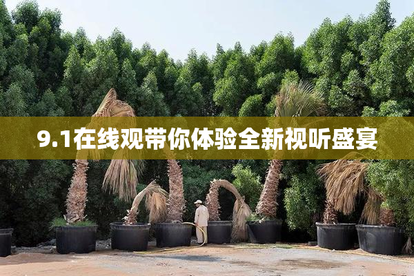 9.1在线观带你体验全新视听盛宴