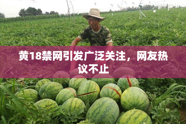 黄18禁网引发广泛关注，网友热议不止