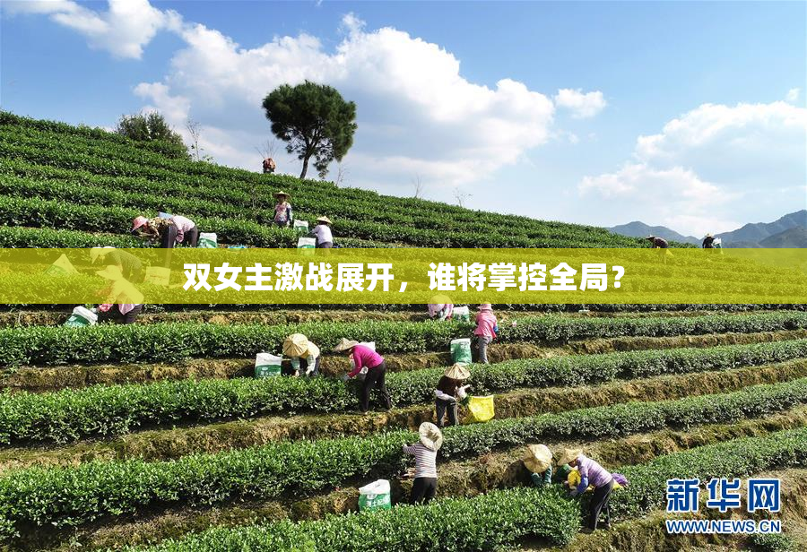 双女主激战展开，谁将掌控全局？
