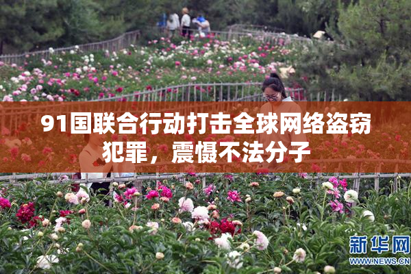 91国联合行动打击全球网络盗窃犯罪，震慑不法分子