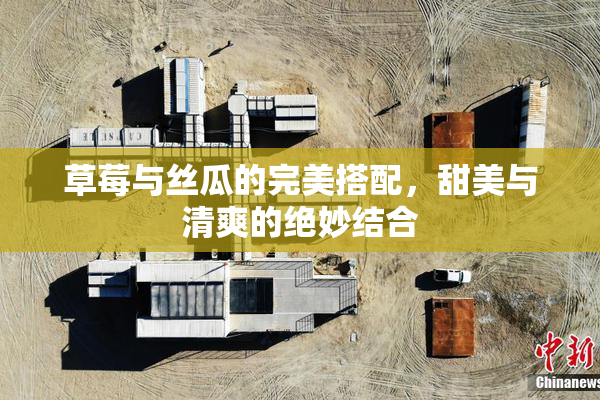草莓与丝瓜的完美搭配，甜美与清爽的绝妙结合
