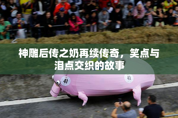 神雕后传之奶再续传奇，笑点与泪点交织的故事