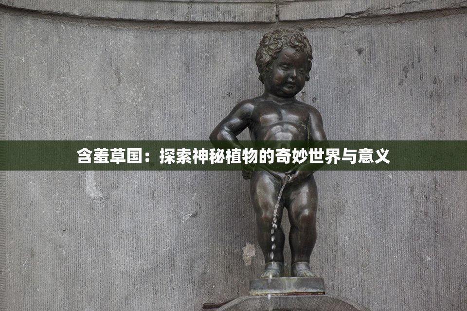 含羞草国：探索神秘植物的奇妙世界与意义