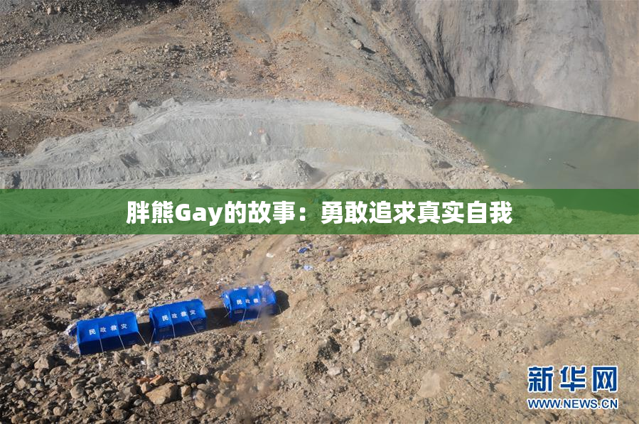 胖熊Gay的故事：勇敢追求真实自我