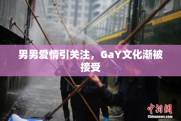 男男爱情引关注，GaY文化渐被接受