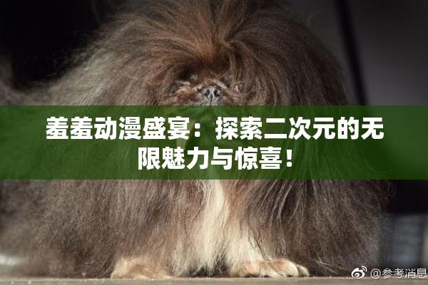 羞羞动漫盛宴：探索二次元的无限魅力与惊喜！