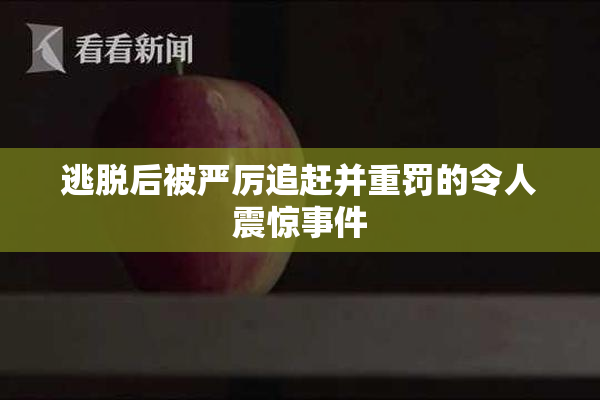 逃脱后被严厉追赶并重罚的令人震惊事件