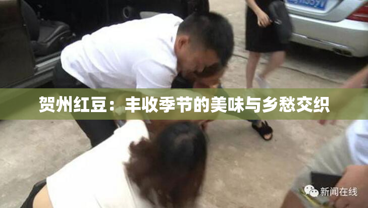 贺州红豆：丰收季节的美味与乡愁交织