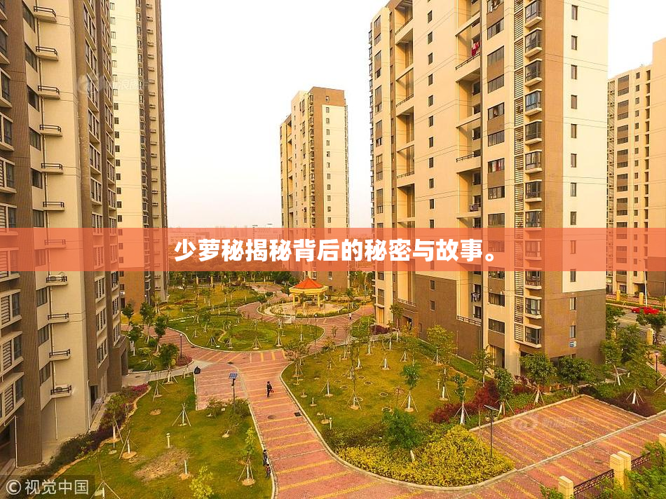 少萝秘揭秘背后的秘密与故事。