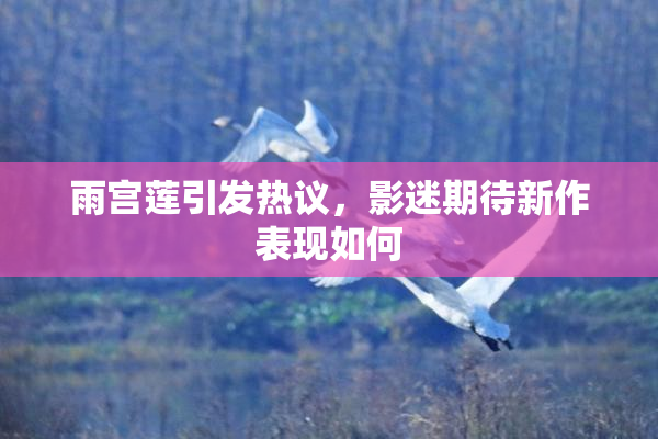 雨宫莲引发热议，影迷期待新作表现如何