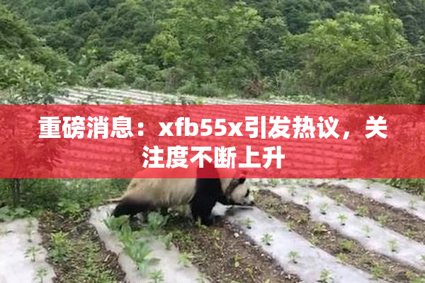 重磅消息：xfb55x引发热议，关注度不断上升