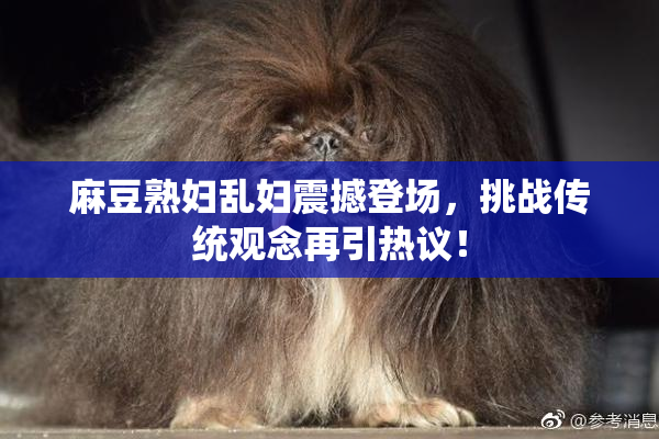 麻豆熟妇乱妇震撼登场，挑战传统观念再引热议！