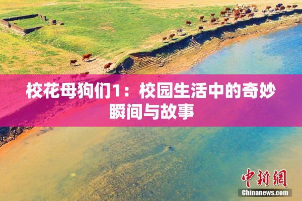 校花母狗们1：校园生活中的奇妙瞬间与故事