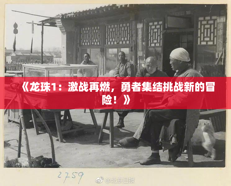 《龙珠1：激战再燃，勇者集结挑战新的冒险！》