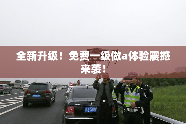全新升级！免费一级做a体验震撼来袭！