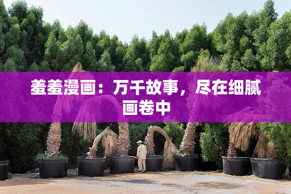 羞羞漫画：万千故事，尽在细腻画卷中