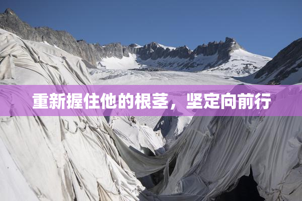重新握住他的根茎，坚定向前行