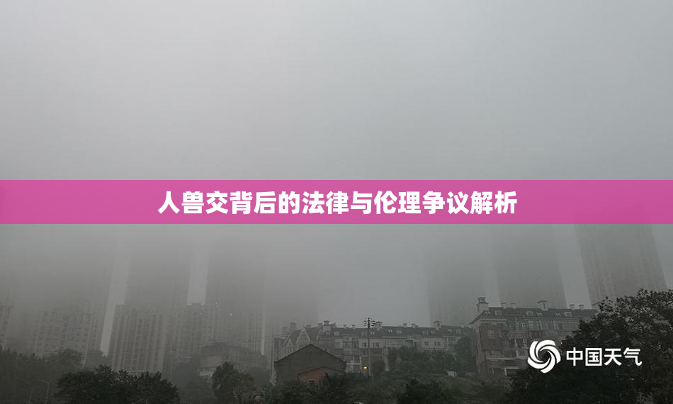 人兽交背后的法律与伦理争议解析
