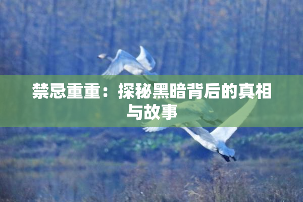 禁忌重重：探秘黑暗背后的真相与故事
