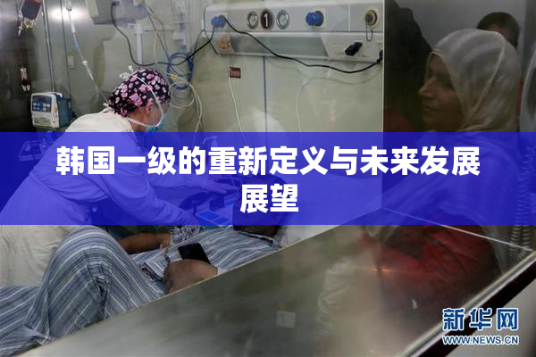 韩国一级的重新定义与未来发展展望