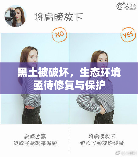 黑土被破坏，生态环境亟待修复与保护
