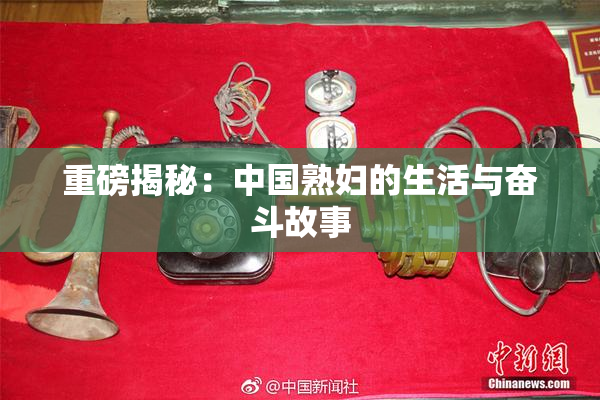 重磅揭秘：中国熟妇的生活与奋斗故事