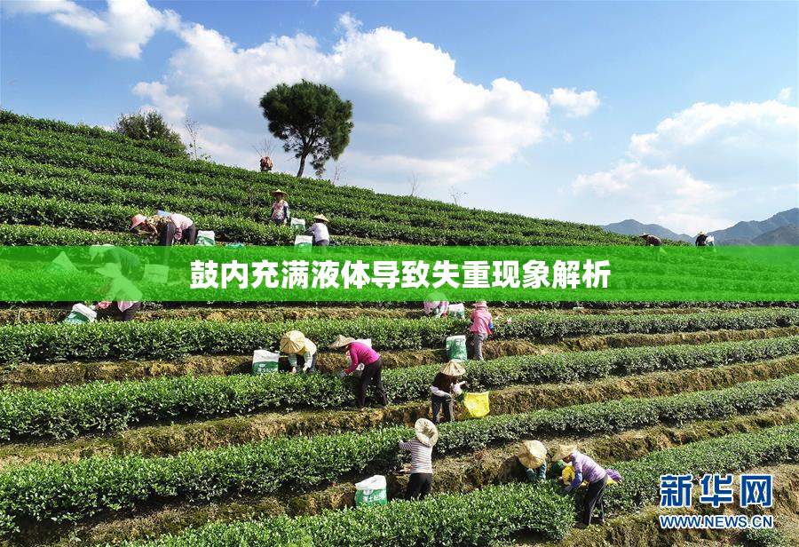 鼓内充满液体导致失重现象解析