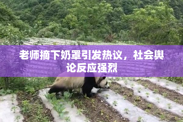 老师摘下奶罩引发热议，社会舆论反应强烈