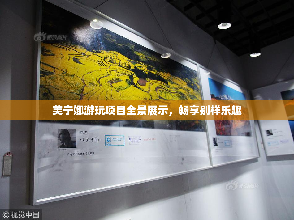 芙宁娜游玩项目全景展示，畅享别样乐趣