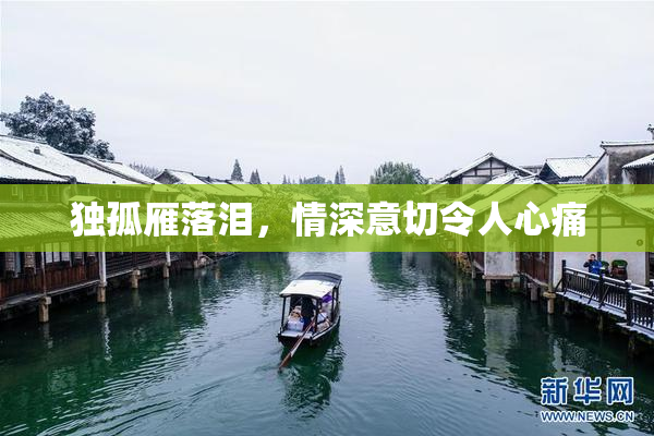 独孤雁落泪，情深意切令人心痛