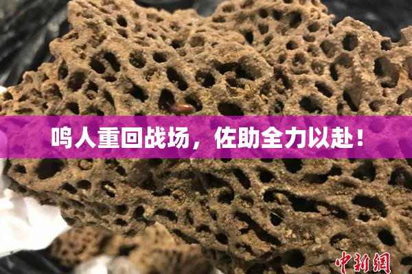 鸣人重回战场，佐助全力以赴！