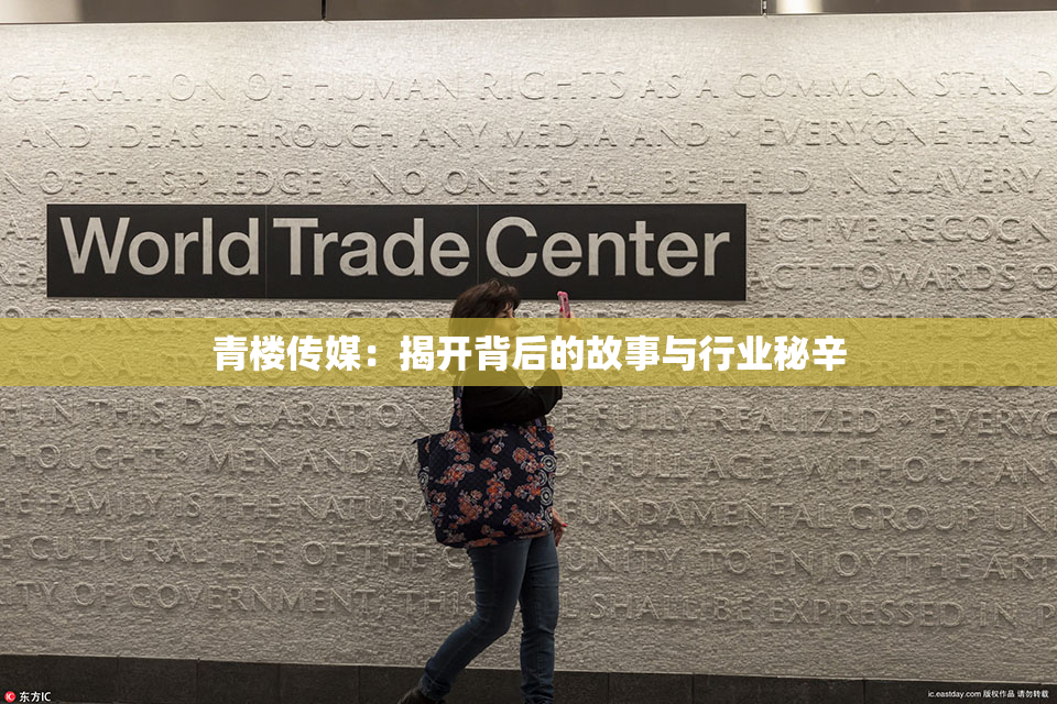 青楼传媒：揭开背后的故事与行业秘辛