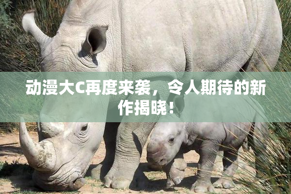 动漫大C再度来袭，令人期待的新作揭晓！