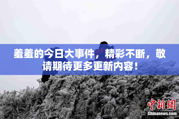 羞羞的今日大事件，精彩不断，敬请期待更多更新内容！