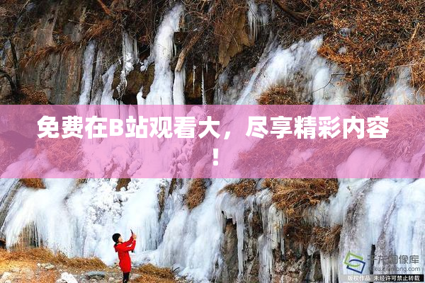 免费在B站观看大，尽享精彩内容！