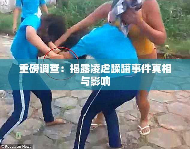 重磅调查：揭露凌虐蹂躏事件真相与影响