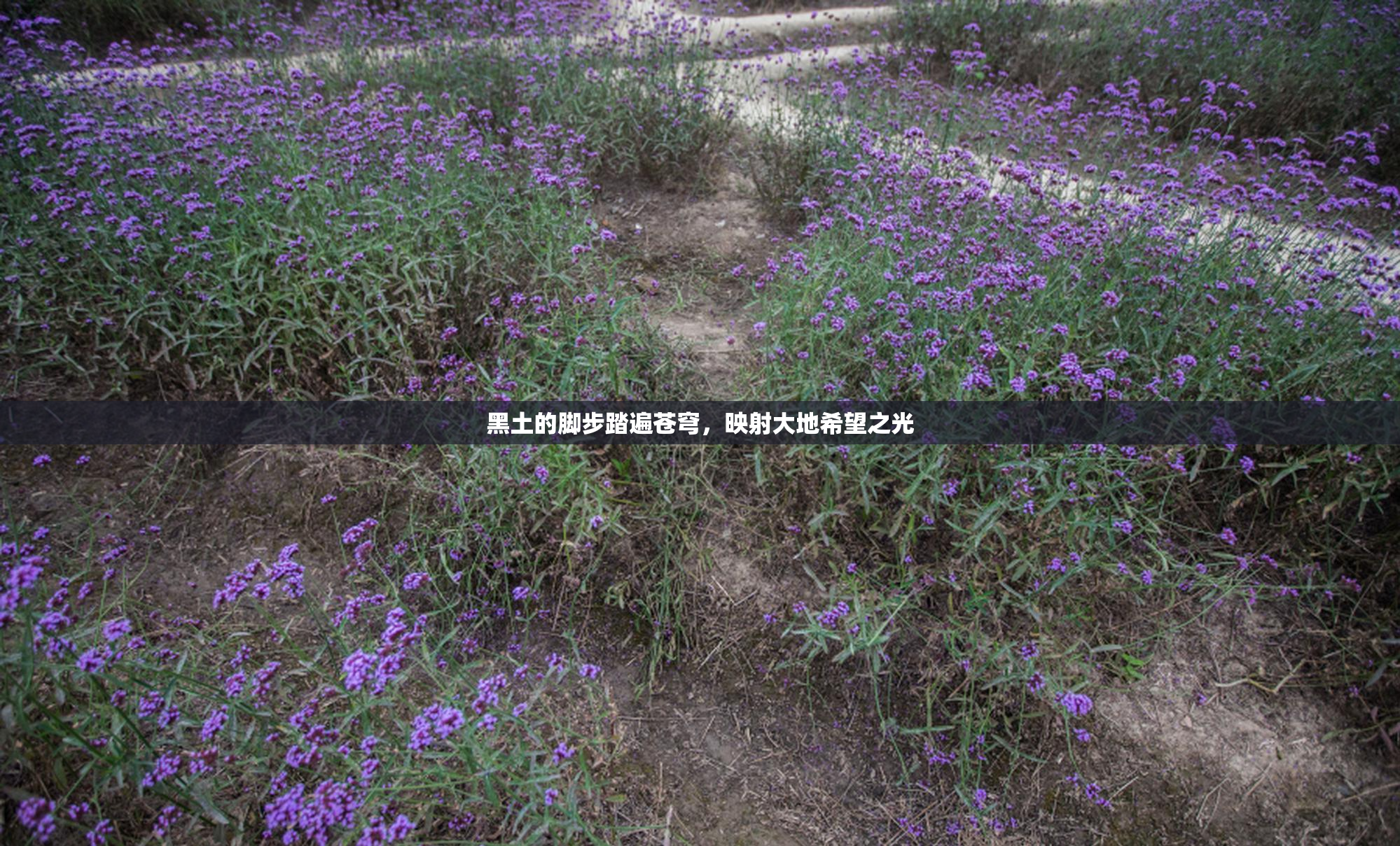 黑土的脚步踏遍苍穹，映射大地希望之光