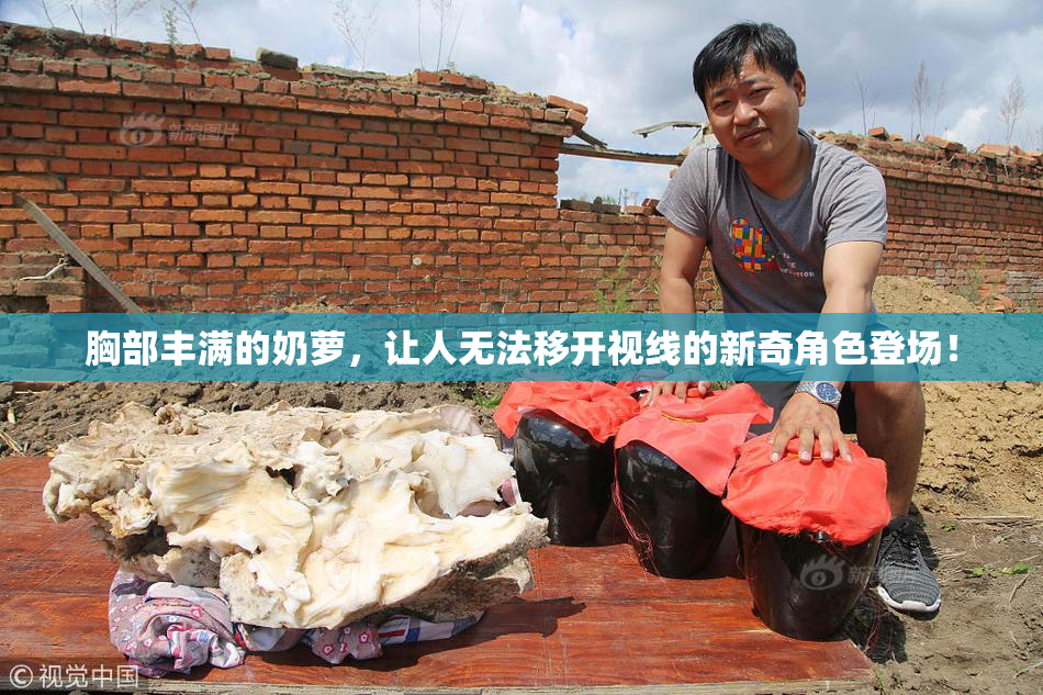 胸部丰满的奶萝，让人无法移开视线的新奇角色登场！