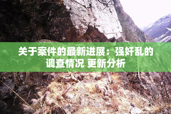 关于案件的最新进展：强奸乱的调查情况 更新分析