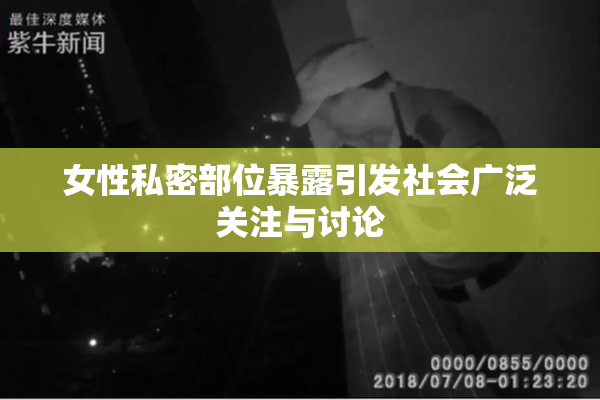 女性私密部位暴露引发社会广泛关注与讨论