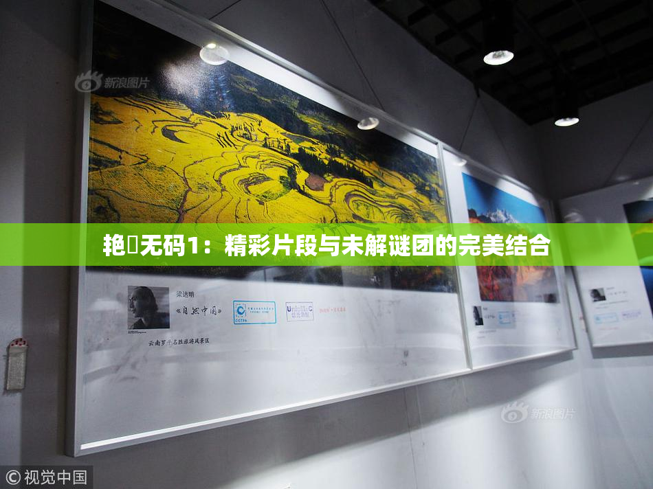 艳鉧无码1：精彩片段与未解谜团的完美结合