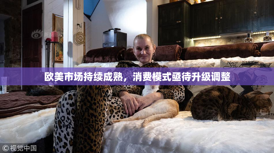 欧美市场持续成熟，消费模式亟待升级调整