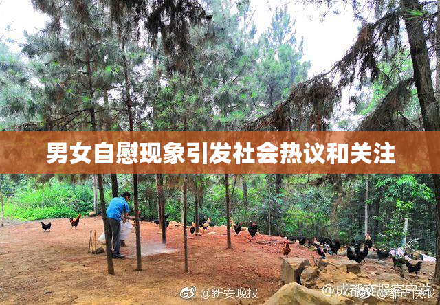 男女自慰现象引发社会热议和关注