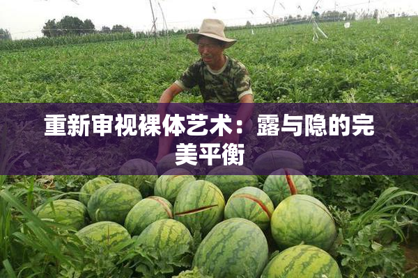 重新审视裸体艺术：露与隐的完美平衡