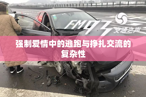强制爱情中的逃跑与挣扎交流的复杂性