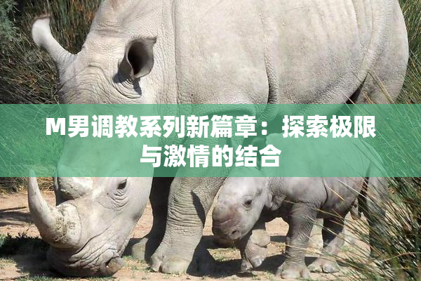 M男调教系列新篇章：探索极限与激情的结合